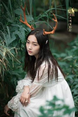 震惊！《XL司令全集》到底隐藏着多少不为人知的秘密？数字背后的真相大揭秘！